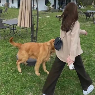 医学之旅